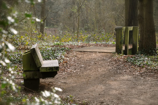 Bench and bridge