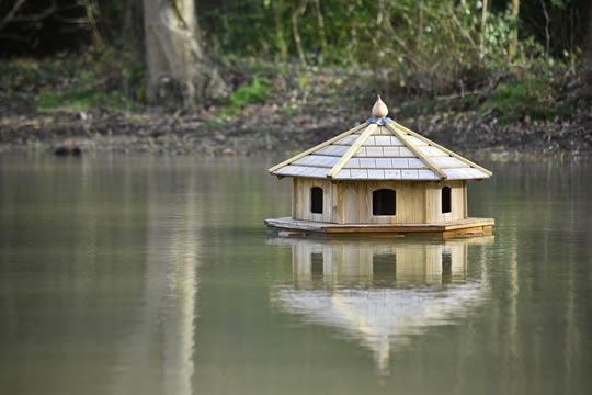 Duckhouse