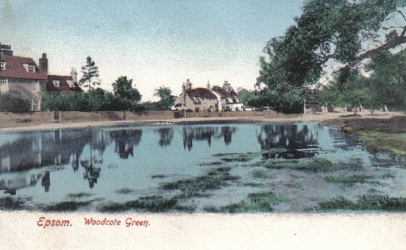 Millennium Green postcard