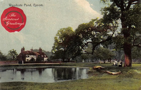 Epsom pond postcard