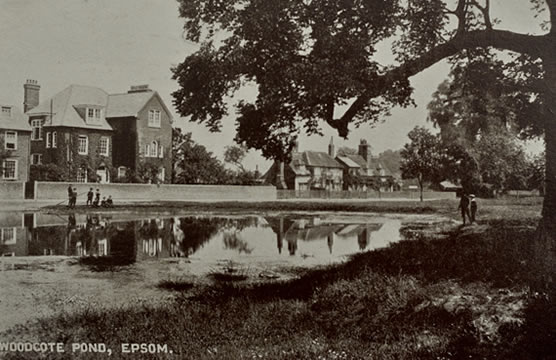 Millennium Green historic postcard