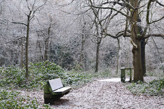 Frozen paths