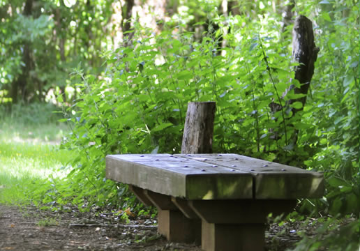 Oak bench