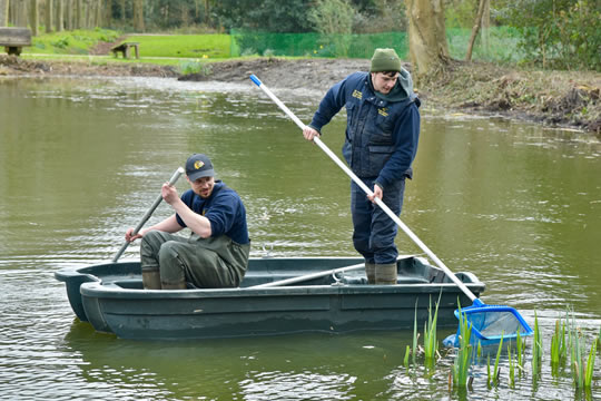 Netting fish on the pond