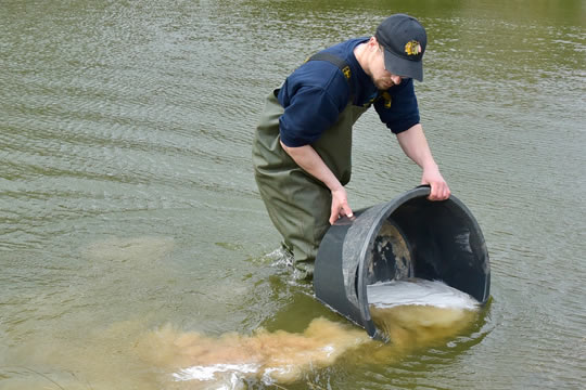 Catching more fish