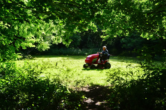 Mowing the lamn