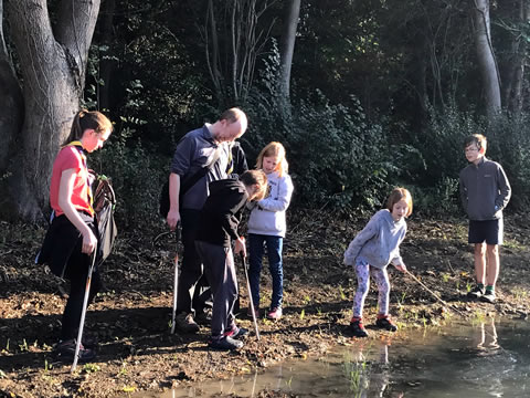 Epsom pond dipping