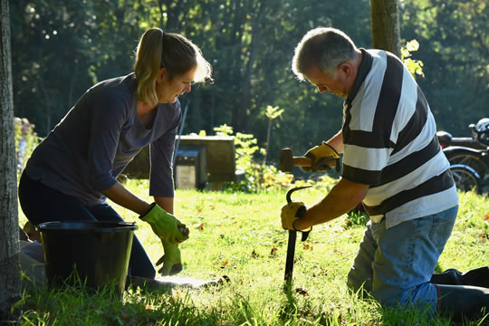 Preparing for tree planting