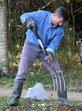 Digging tree holes