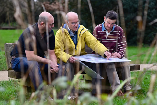 Planning tree planting