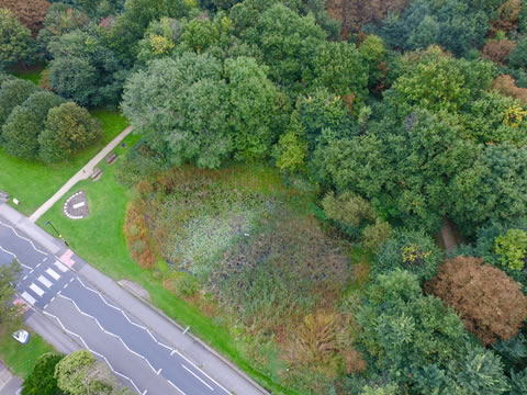 Aerial view of Epsom