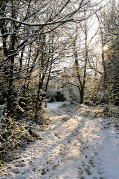 Snowy footpaths